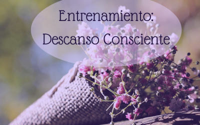 DESCANSO CONSCIENTE